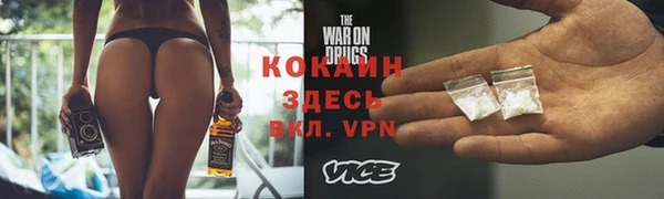 дмт Лабытнанги