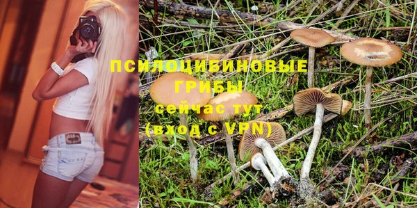 2c-b Белоозёрский
