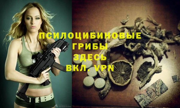 гидропоника Лагань