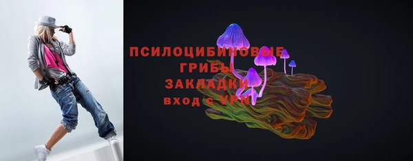 гидропоника Лагань