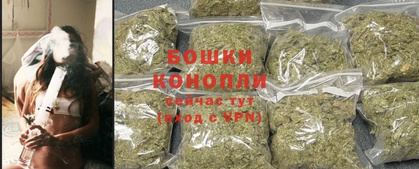 гидропоника Лагань