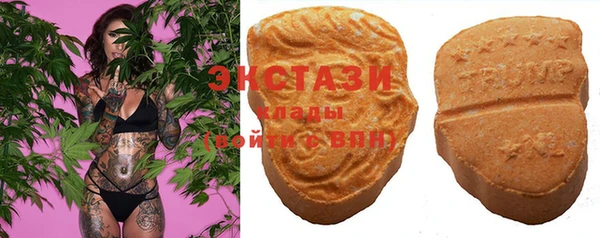 дмт Лабытнанги