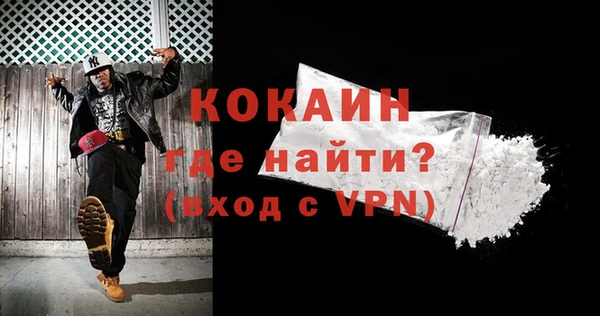 дмт Лабытнанги