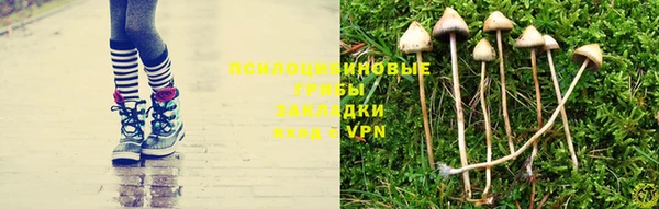 гидропоника Лагань
