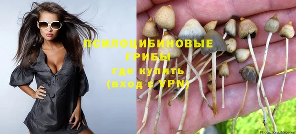 гидропоника Лагань